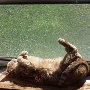 Meet your Posher, Jan